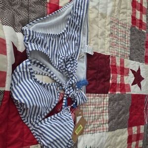 Daniel Cremieux Navy and White Striped Swimwear